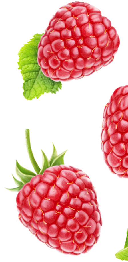 Fynbo-Raspberry-hindbær-højre.png (2)