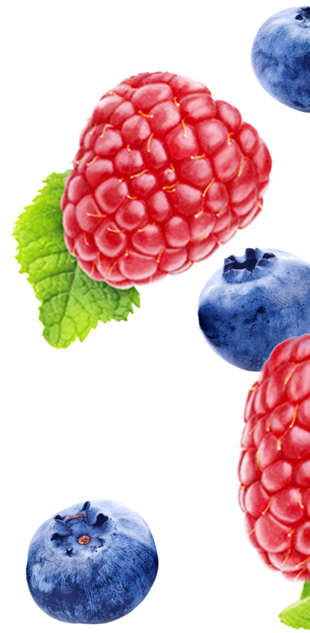 Fynbo-hindbaer-blaabaer-raspberry-blueberry-højre.png