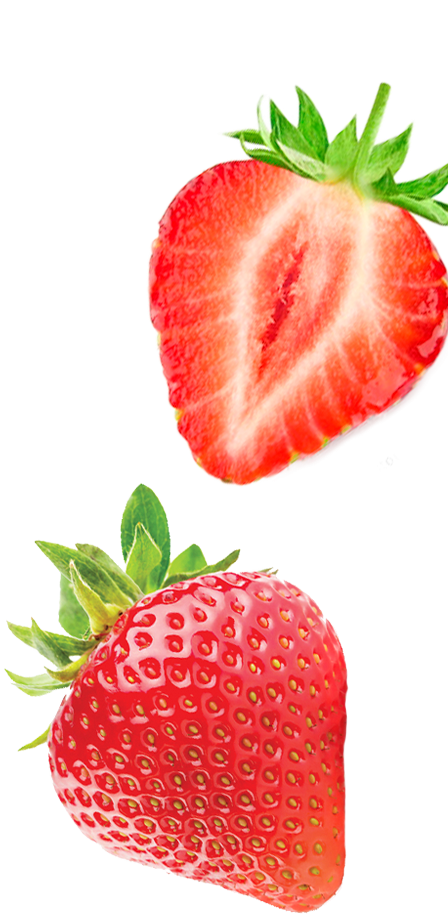 Fynbo-strawberry-jordbær-marmelade-jam-højre.png (1)