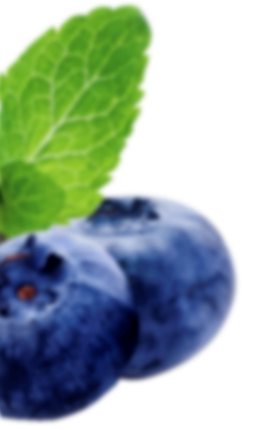 Blueberry-blaabaer-venstre-frugt-oeverst-blur.png (1)