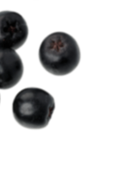 Aronia-venstre-frugt-oeverst-blur.png