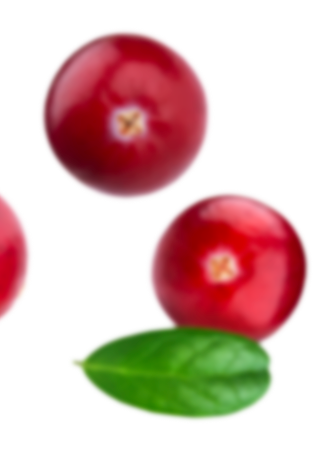Fynbo-Tyttebær-Lingonberry-sløret.png