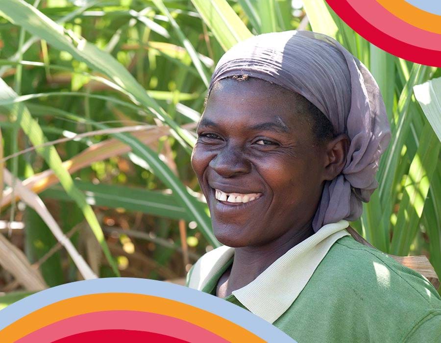 Sponsorater Organisationer